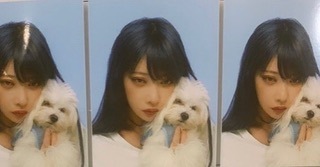 Visual