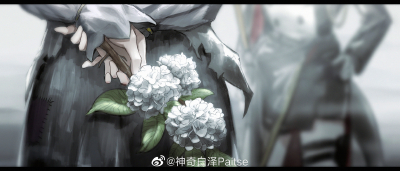 塔娜 “欧洲荚蒾”
