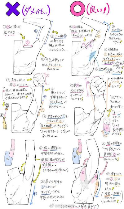 人体