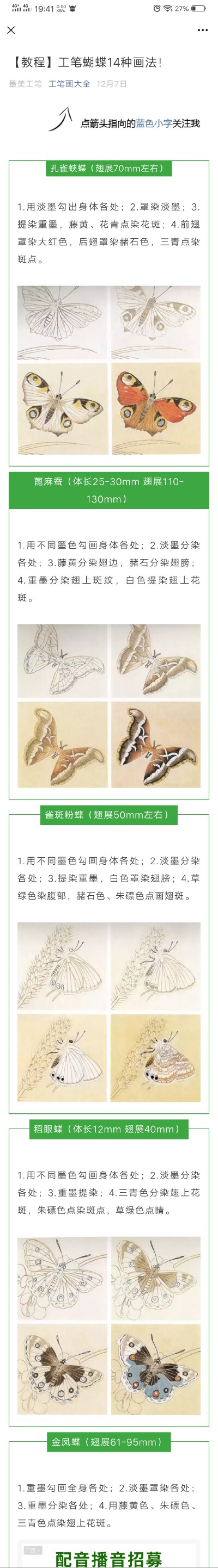 工笔蝴蝶技法