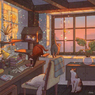 猫咪