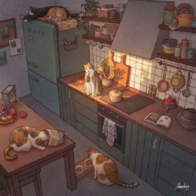 猫咪