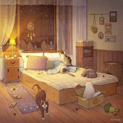 猫咪