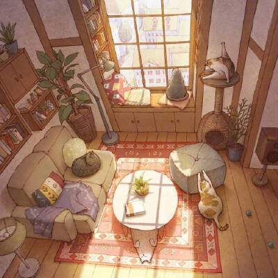 猫咪