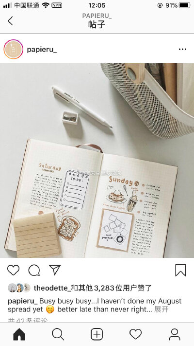 bujo ins