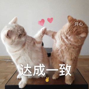 皮蛋｜
