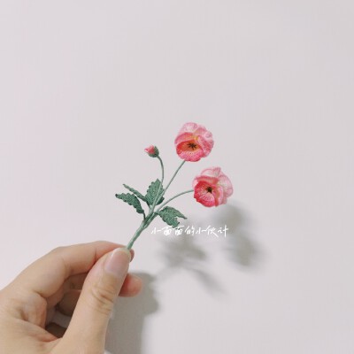 微钩花草 皱边角堇