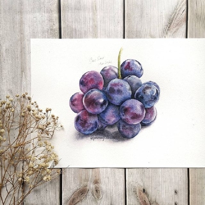 美食绘， ins：painting_sausau ​
