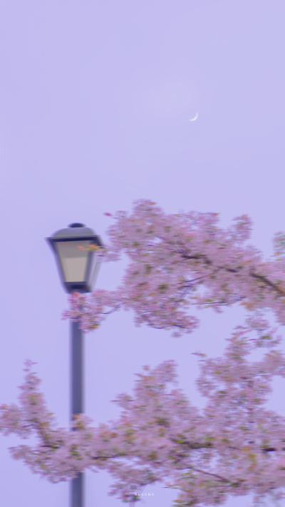 春