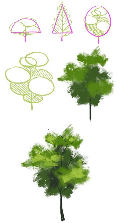 植物