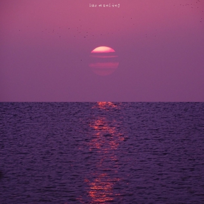 夏了夏天。
