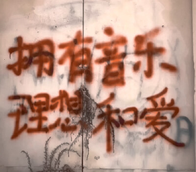 我大抵见过你身上的光了