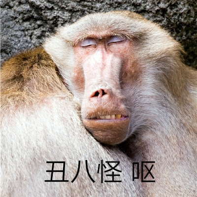 救命，刚刚去吃汉堡的时候碰了某班的一两个狒狒