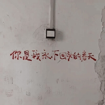  念念不忘 必有回响。