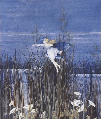 Ida Rentoul Outhwaite 澳大利亚插画师