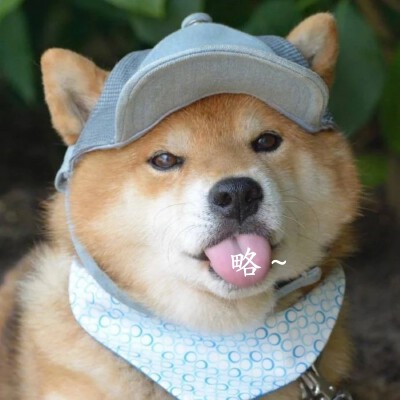 略～