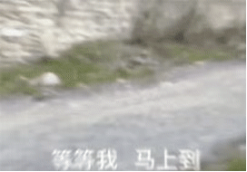表情包
