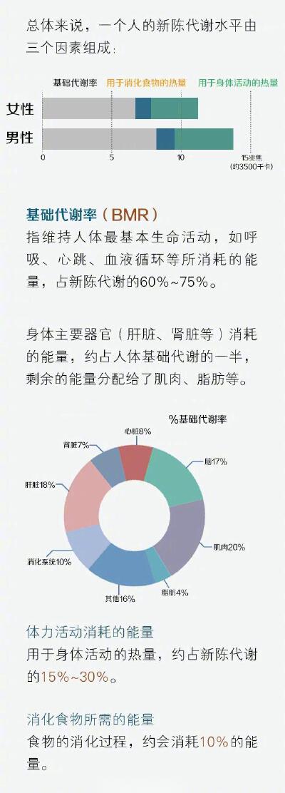 身体健康