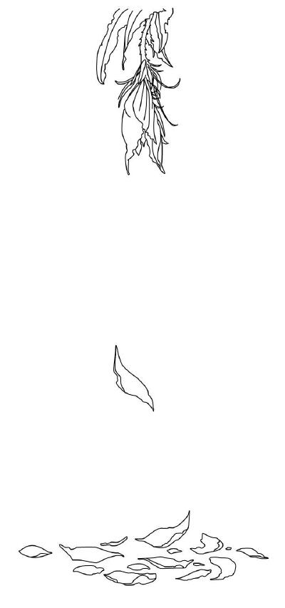 橡皮章素材
