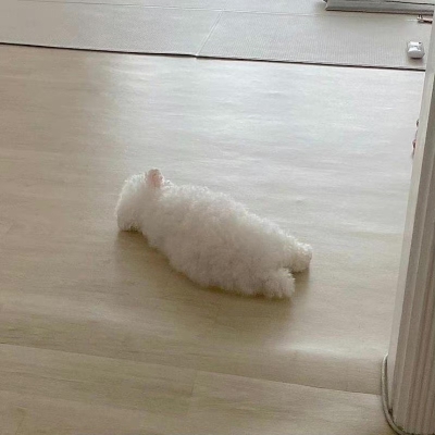 背 影 杀 手 