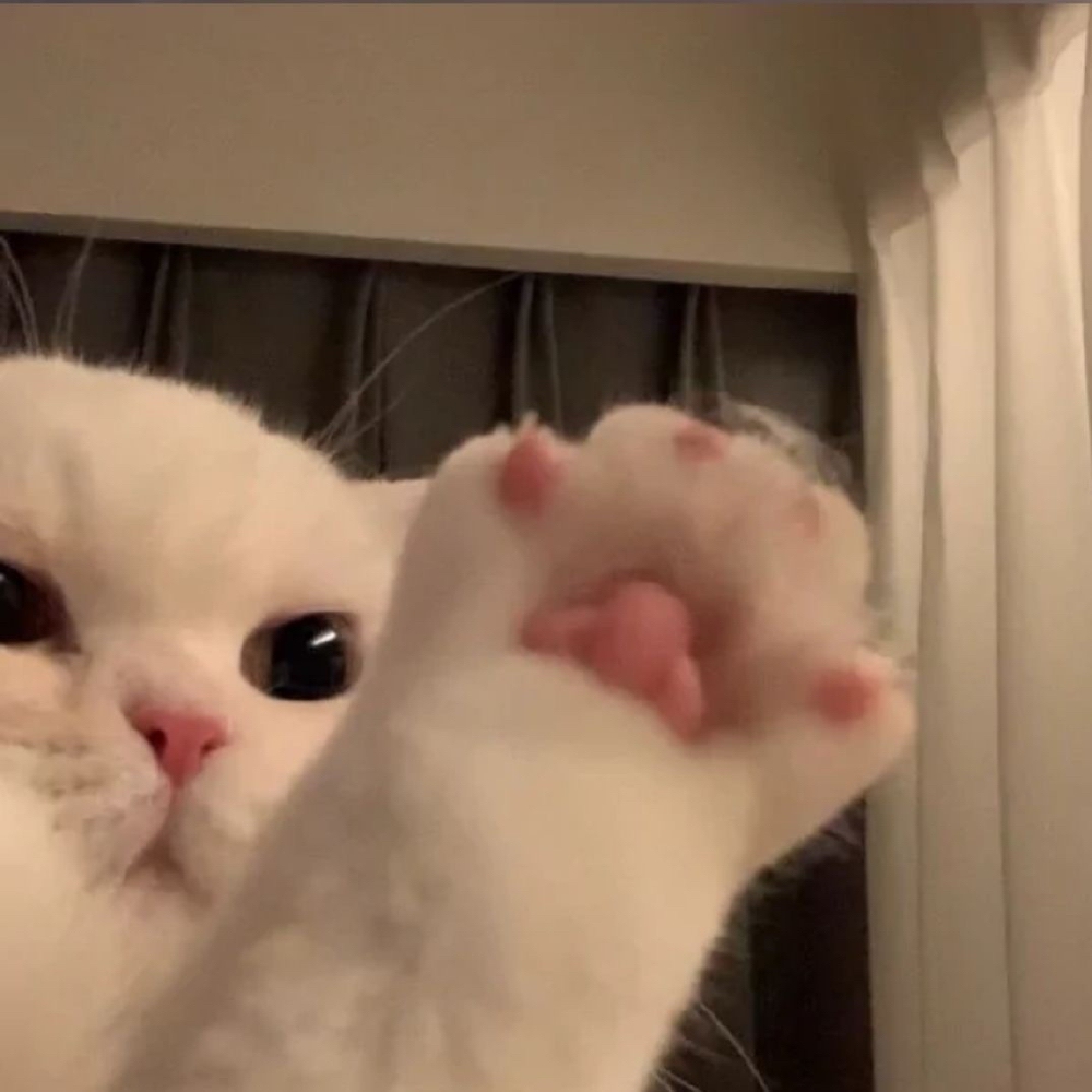 …