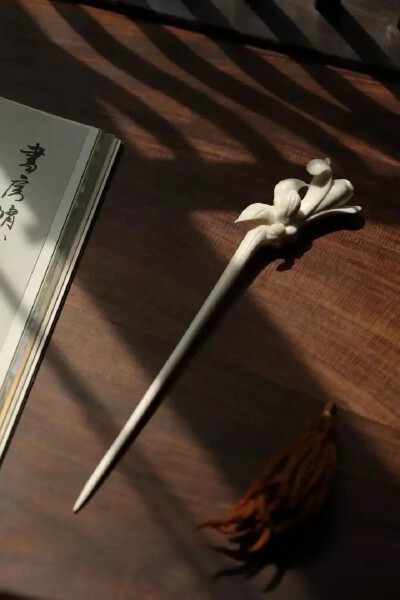 鹿角白玉兰