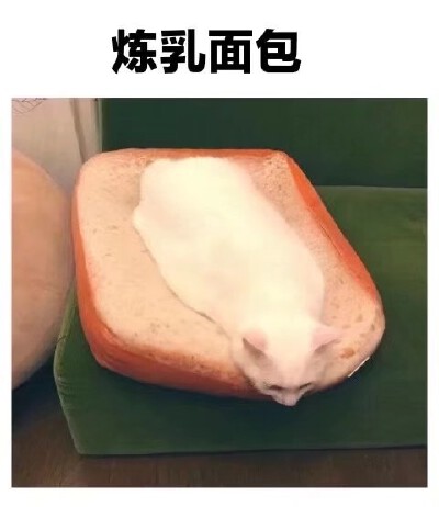 咱就是说一整个心动了