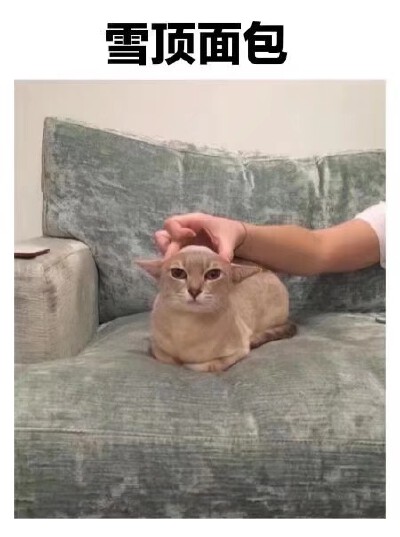 咱就是说一整个心动了
