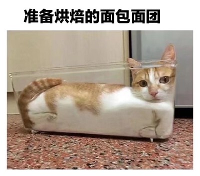 咱就是说一整个心动了。
现在好想吃面包