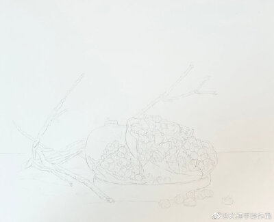 水彩石榴手绘~ by@敬文水彩