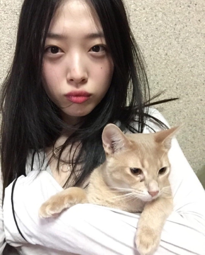sulli
