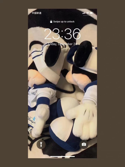 iphone壁纸 更多美图关注小红书：269946177