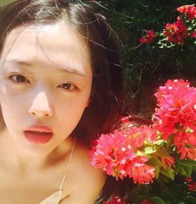 sulli