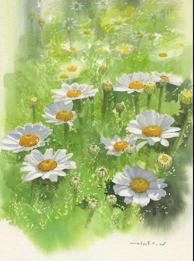 水彩画家：Masato Watanabe