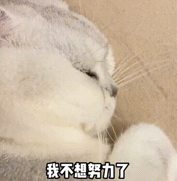 我不想努力了