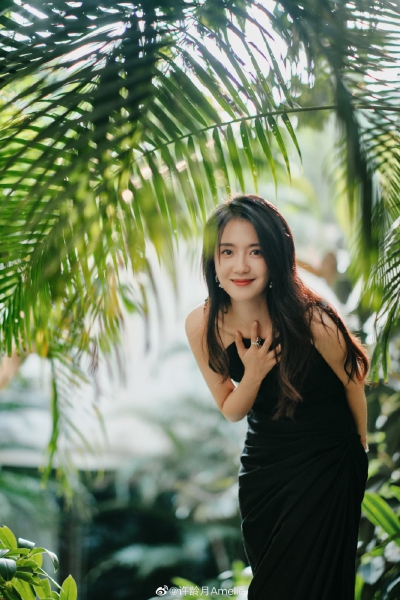 许龄月