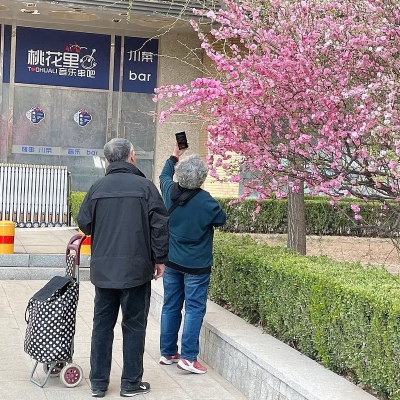 背景图