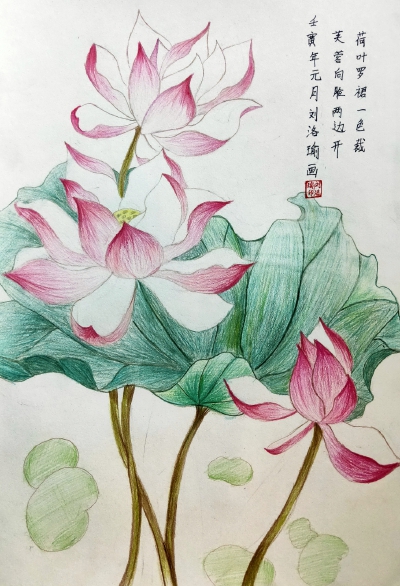 彩铅荷花艺彩时光