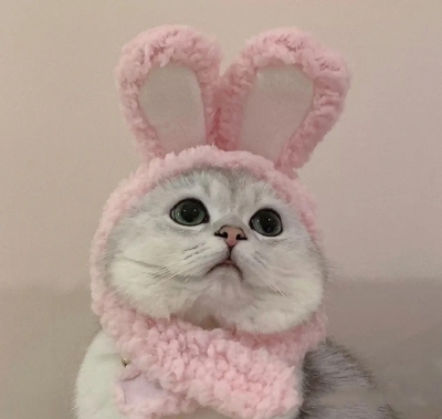 發