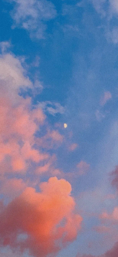 壁纸