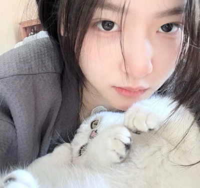 情头 