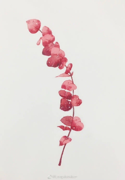 植物
