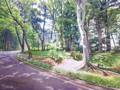 画师：1949年出生于日本香川县高松市，现居千叶县，是日本著名的水彩画家、插画家Takumi_yokookatakumi_yokooka浪漫而美好的画面，用最细腻的手法，给人展现了一种清新通透的视觉感观，给人无尽的视觉享受，如此强烈…