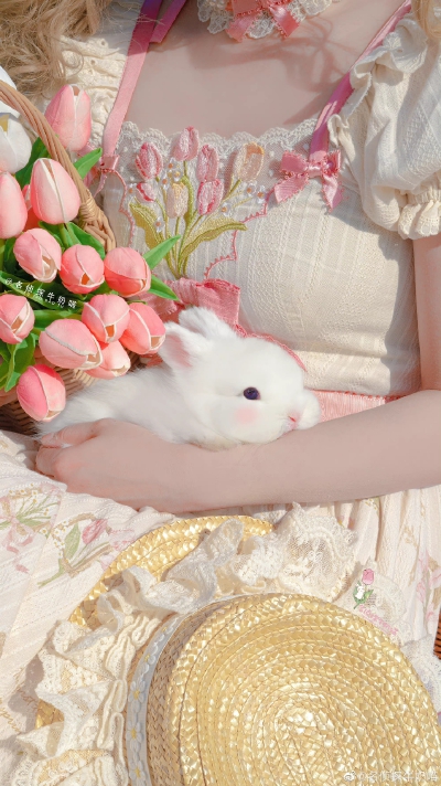 可爱兔子