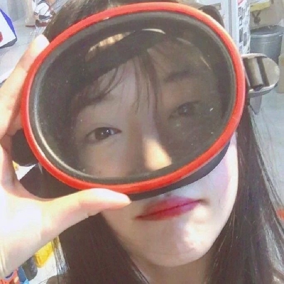 sulli