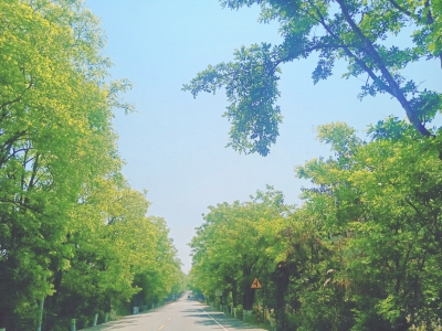 公路