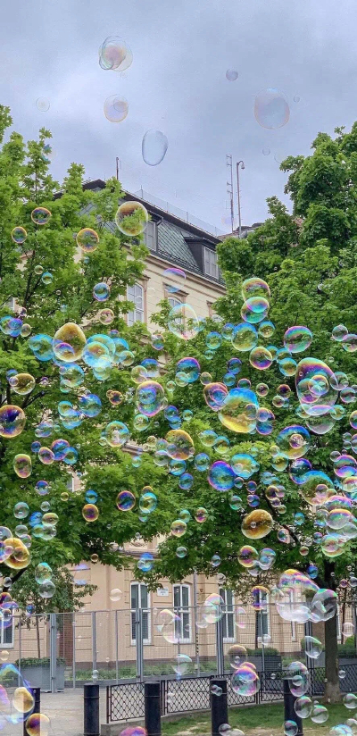 春日壁纸来啦～