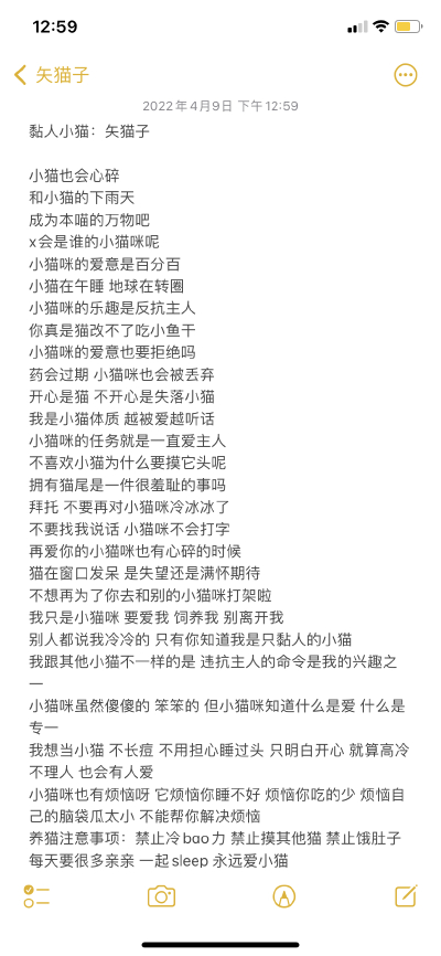 小猫文案