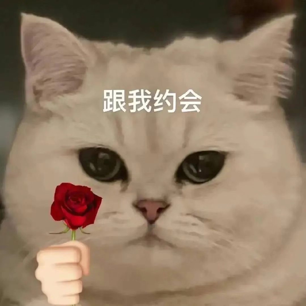 跟我约会/表情包
