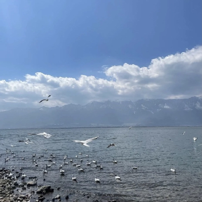 背景图